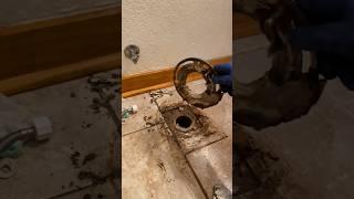 Installing a new closet flange for a toilet. The old brass flange separated from the lead. #plumbing