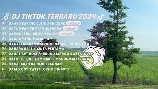 DJ TIKTOK TERBARU 2024 ||DJ AYO SAYANG CULIK AKU DONG DJ ADA YANG MARAH HEY VIRAL TIKTOK FULL ALBUM