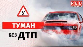 Всё, что Водителю нужно знать о Тумане! [Автошкола  RED]