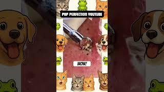 Wow! #pimple #pimplepopper #pimples #shortsfeed #shortvideo #shorts #short #youtubeshorts #youtube
