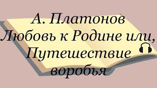 Андрей Платонов "Любовь к Родине, или Путешествие воробья"  #любовькродине #путешествиеворобья