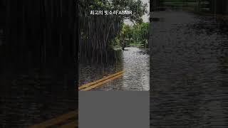 Rain 최고의 빗소리 수면유도  불면증해소 스트레스해소 심신안정 힐링동영상 Heavy Rain ASMR For Sound Sleep