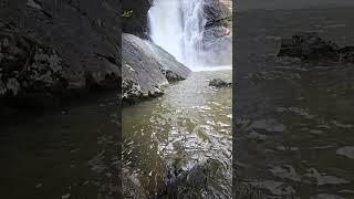 yellow creek falls in cedar bluff alabama is absolutely breath taking! #waterfall #alabama #beauty