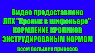 Экструдер, кормление  кроликов экструдированным кормом