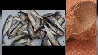 fish cleaning|how to clean small fish