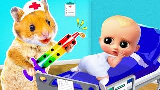 Stop It! Hamster Maze Pretend A Doctor Check Up Bro Got Sick | Life Of Pets HamHam