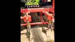 Plant Watering System Tractor Harvesting Farming Agriculture Tools Equipment Machinery #short