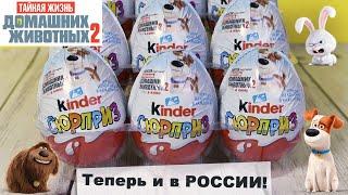 Kinder Pets  2 Сюрприз | Киндер ТАЙНАЯ ЖИЗНЬ ДОМАШНИХ ЖИВОТНЫХ 2  Surprise | НОВИНКА 2020