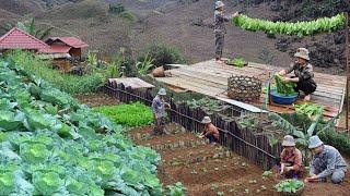 the couple built a life off the grid | The beginning of a beautiful garden, planting and harvesting