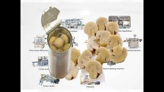 Mushroom canning process canned mushroom production line vegetable can production line