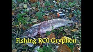 Обзор спиннинга Fishing ROI Gryphon