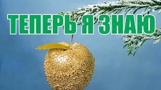Новогодние Традиции Стран Мира