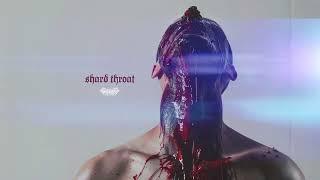 Gutrectomy - Shard Throat (Instrumental by Artem Komlev)