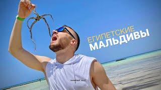 Египетские МАЛЬДИВЫ. Дикая природа Марса-Алам! Другой Египет