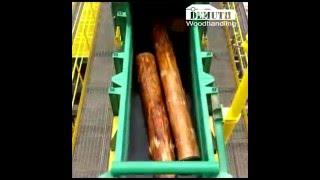 Demuth - Big Logs - Disc Chipper 3800 - DPDI