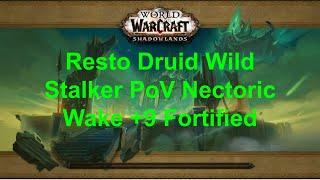 Necrotic Wake Mythic +9 Fortified Resto Druid Wild Stalker PoV, The War Within Season 1