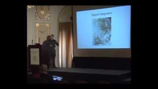 Neuroevolution Through Erlang - Gene Sher