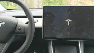 Tesla Model Y 2021 - Logged Out of Tesla Streaming and Resolution