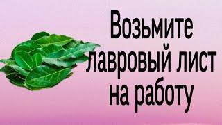 Возьмите лавровый лист на работу. | Тайна Жрицы |