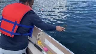 Sib sport fishing tackle