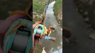 INSANE Catch 30 FEET In The AIR (BRIDGE FISHING)(PART 1)