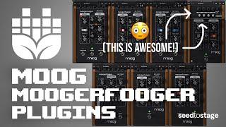 Sound Design with Moog Moogerfooger Plugins and Ableton Live