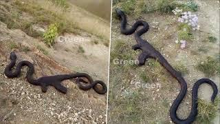 Strange Video Went Viral on the Internet Snake Swallowed an AK 47