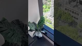 Holiday Apartment Tour | Amazing View | October Trip 2022 | Australia diary 