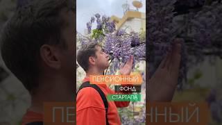 Пенсионный фонд в стартапе