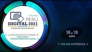 Director Ejecutivo de eHunting Latam , Aldo Myrick, en el e-Summit #PeruDigital2021