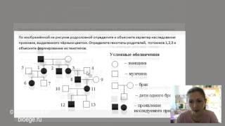 Решение задач на родословные