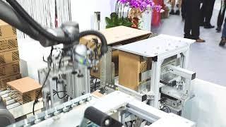 Techman Robot Automatic Packing and Boxing