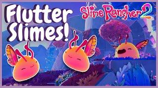 NEW Flutter Slimes and Starlight Strand Music: Slime Rancher 2 OST