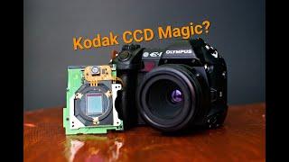 The Olympus E-1, Is There some Kodak CCD Magic in this Four Thirds DSLR?