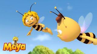 On the way - Maya the bee