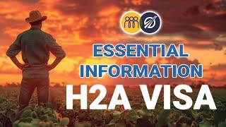 Comprehensive Guide to H-2A Visas: Essential Info for Employers and Workers