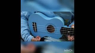 main. bukulele