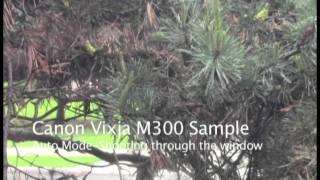 Canon Vixia M300 Sample: Nature Thru Glass