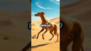 Meet the Saluki: The Ancient Dog of Egyptian Royalty!