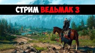 The Witcher 3: Wild Hunt - (Часть 46)