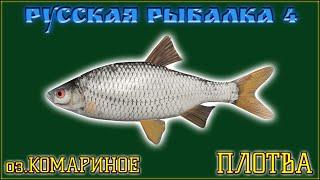 РР4 ОЗЕРО КОМАРИНОЕ ФАРМ НА ПЛОТВЕ / ТРОФЕЙНАЯ ПЛОТВА / РУССКАЯ РЫБАЛКА 4 / RUSSIAN FISHING 4