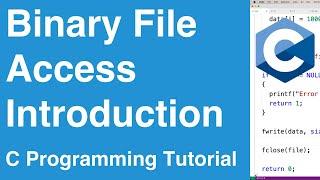 Binary File Access Introduction | C Programming Example