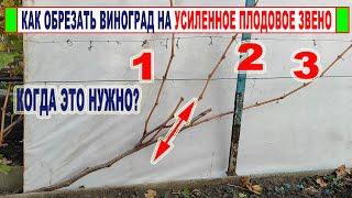  Обрезка ВИНОГРАДА на УСИЛЕННОЕ ПЛОДОВОЕ ЗВЕНО. Неужели будет урожая в 2 раза больше?