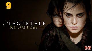 A Plague Tale: Requiem. Истории и тайны. Прохождение № 9.