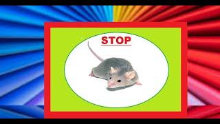 RAT REPELLENT - sound to scare rats away and keep them away -