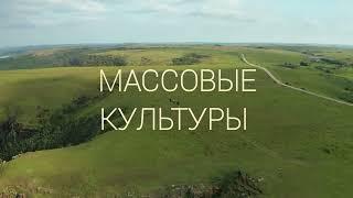 Д.С. ЛИХАЧЕВ  О ФЕНОМЕНЕ МАССОВОЙ КУЛЬТУРЫ | Д.С. ЛИХАЧЕВ | МАССОВАЯ КУЛЬТУРА | САМОРАЗВИТИЕ .