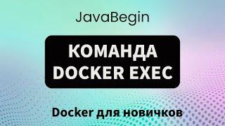 Основы Docker: команда docker exec (2023)