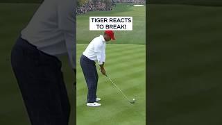 Tiger Woods' REACTION to lucky break! 