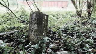 Old Plantation Cemetery Found Hidden Behind Railroad! Stephenson Cunningham Cemetery