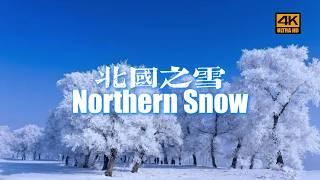 [4K] Winter Wonders of Northern China: Snowy Beijing, Shenyang, and Harbin, Tianjin, Zhalantun……